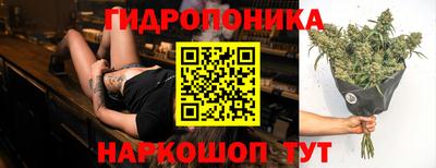 СК Бийск