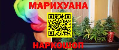 СК Бийск