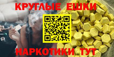 СК Бийск
