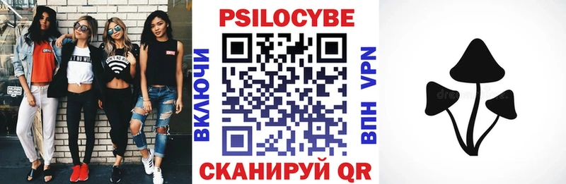 где купить наркоту  Горно-Алтайск  Галлюциногенные грибы Cubensis 