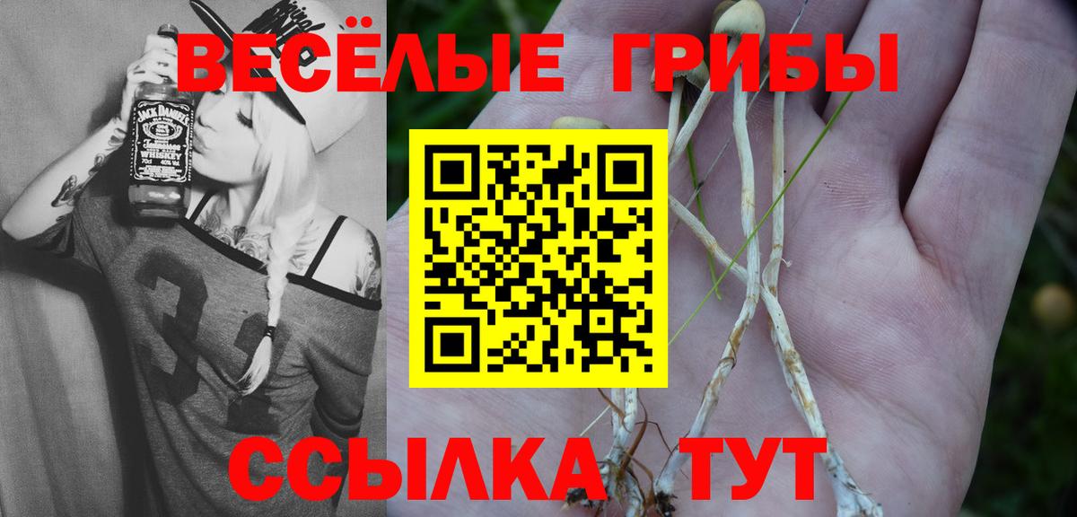 Горно-Алтайск  магазин    Вход с VPN  Псилоцибиновые грибы ЛСД 