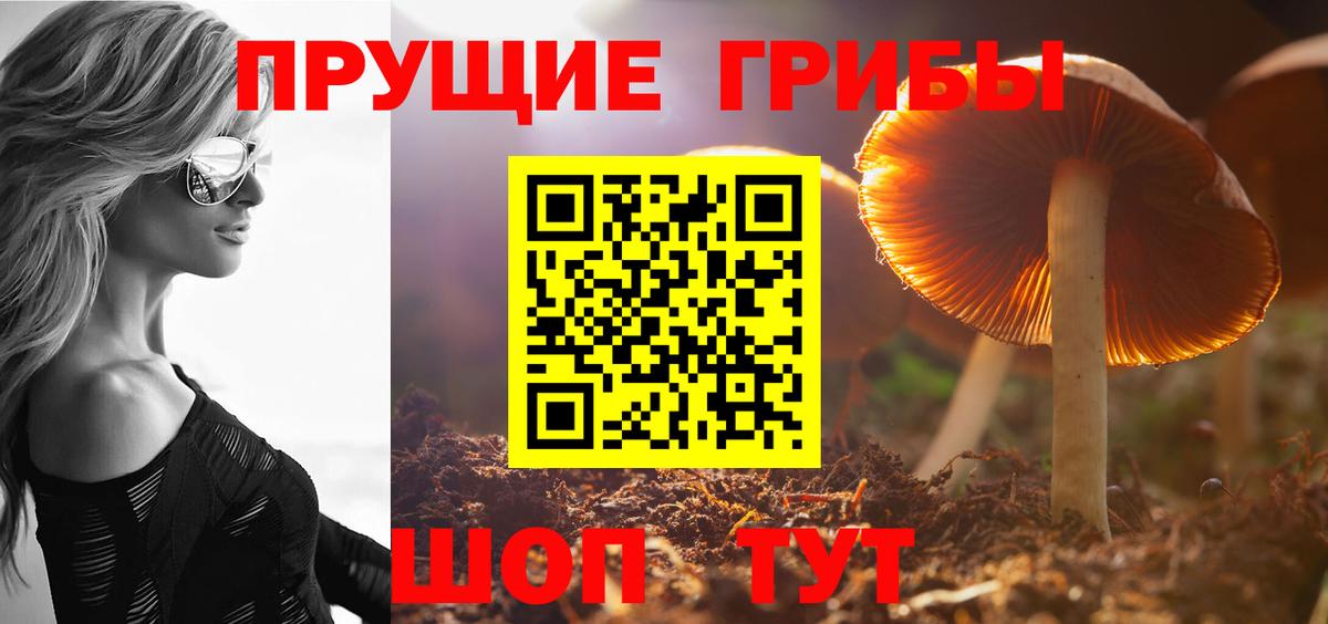Галлюциногенные грибы GOLDEN TEACHER Горно-Алтайск